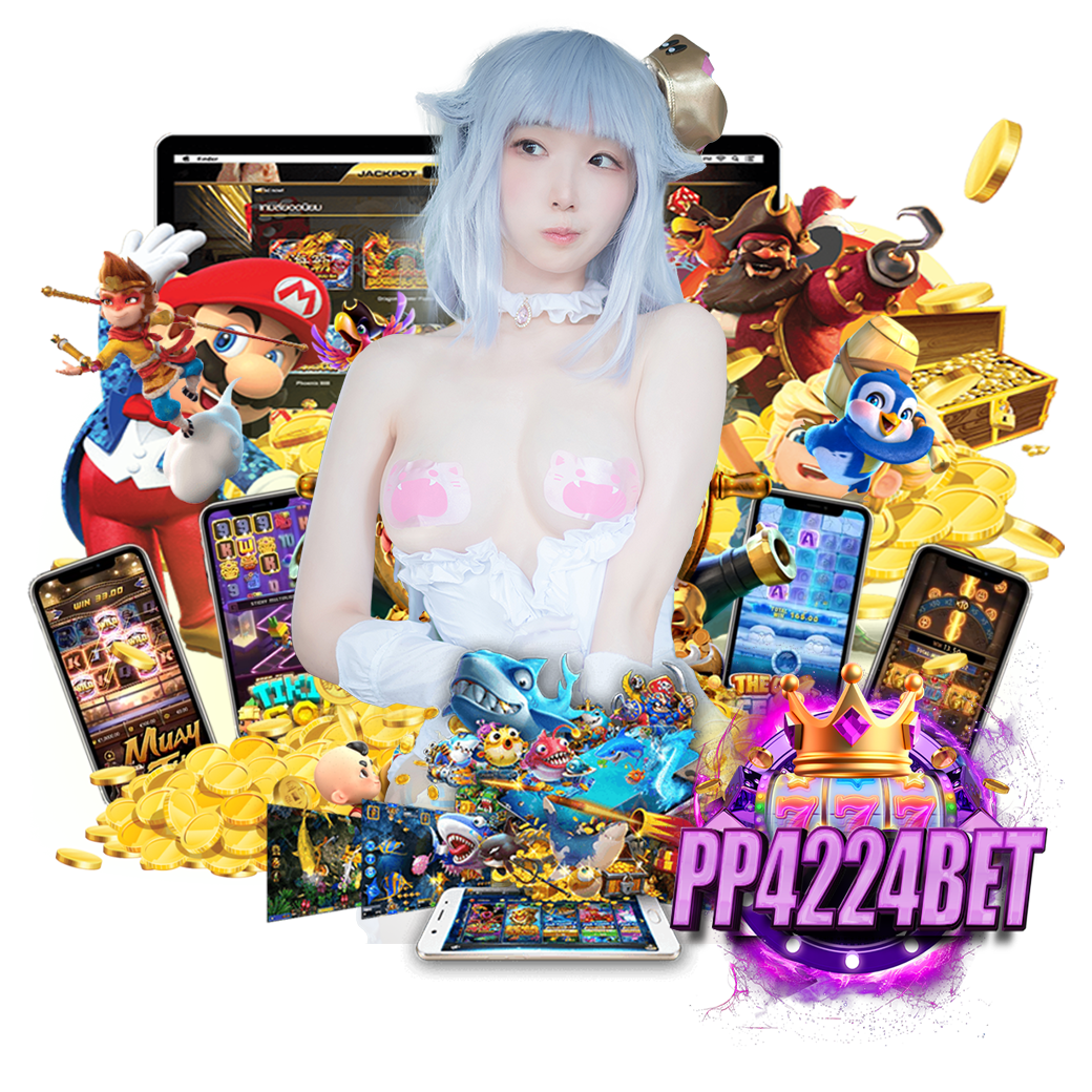 pp4224 ทางเข้า